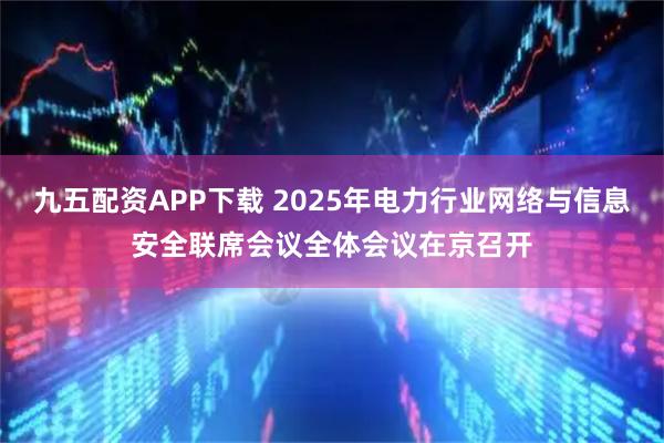 九五配资APP下载 2025年电力行业网络与信息安全联席会议全体会议在京召开