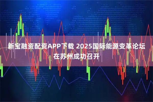 新宝融资配资APP下载 2025国际能源变革论坛在苏州成功召开