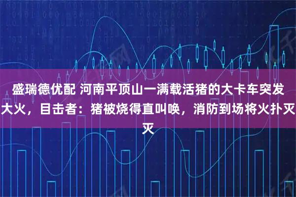 盛瑞德优配 河南平顶山一满载活猪的大卡车突发大火，目击者：猪被烧得直叫唤，消防到场将火扑灭