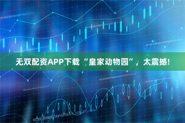 无双配资APP下载 “皇家动物园”，太震撼!